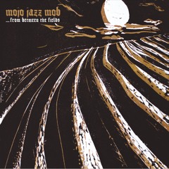 MOJOJAZZMOB - Hail Of Bullets
