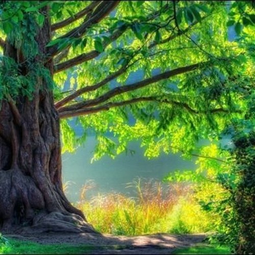 Meeting the Source Within Meditation