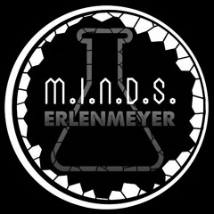 M.I.N.D.S? & Erlenmeyer - Echo Chambers