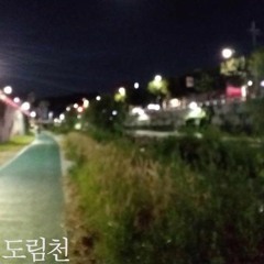 도림천(dorim-cheon)