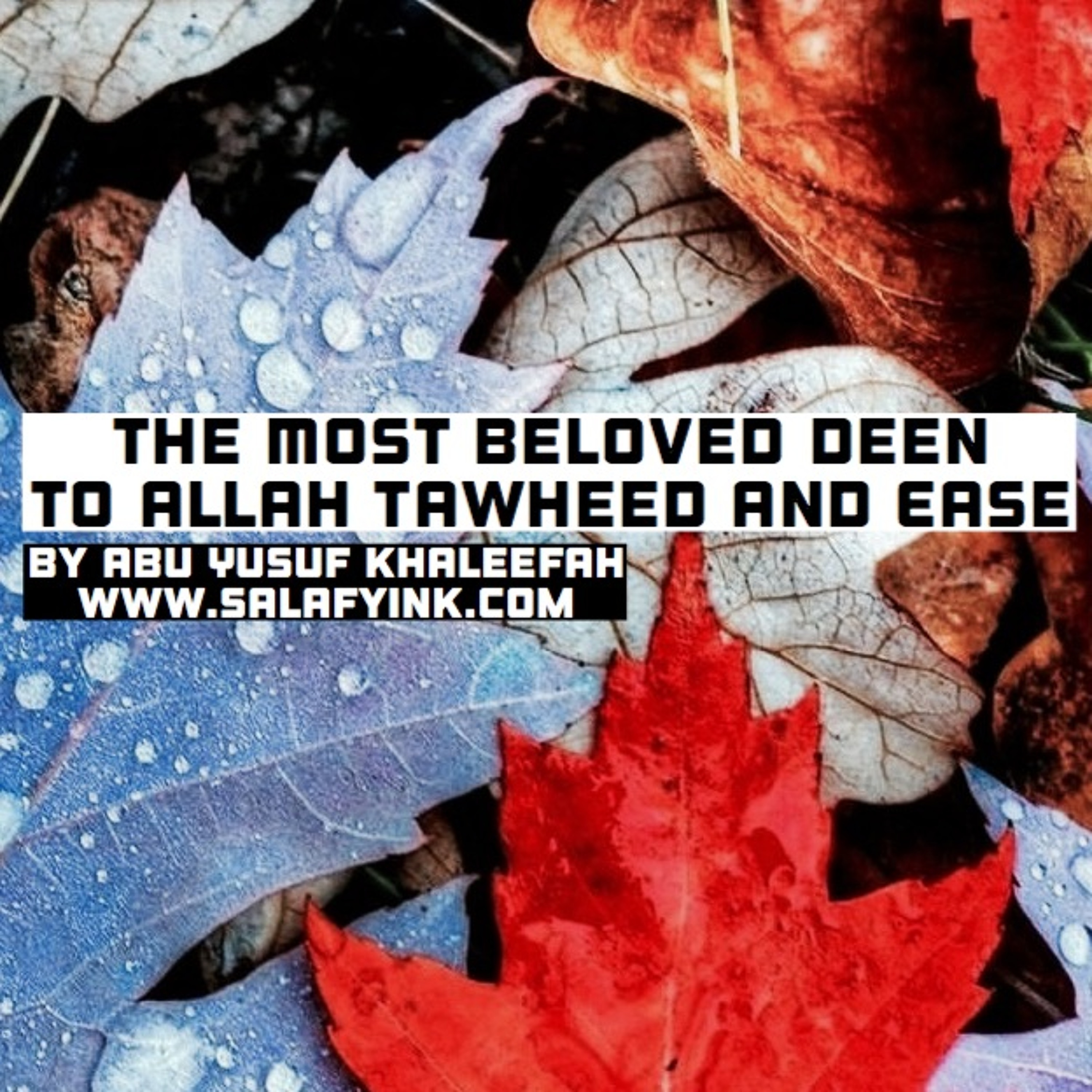The Most Beloved Deen To Allah Tawheed And Ease By Abu Yusuf Khaleefah episode artwork