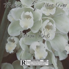 Platinum Orchids Ft Ndine Kruger