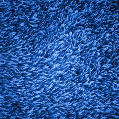 138 - 0204 - blue carpet