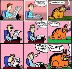Garfield the cat.