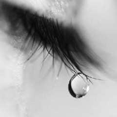 Nik Trenton - Wipe Your Tears
