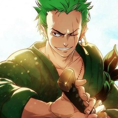 Motivação Anime - Mais Um Dia Roronoa Zoro One Piece - Águia