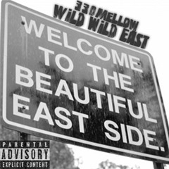 330Mellow - Wild Wild East(Official Audio) prod. by YeNn Beats