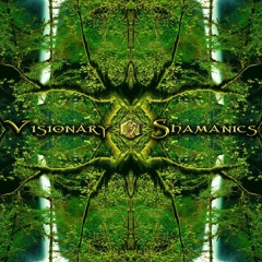 Nergil Psychedelic Forest Djset 2019 -Visionary Shamanics Records-