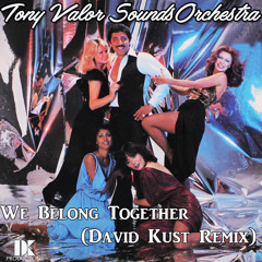 Tony Valor Sounds Orchestra - We Belong Together (David Kust Remix)