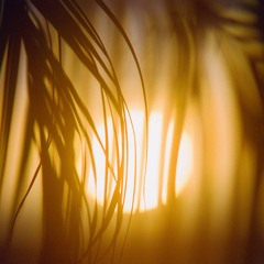 Deep Summer
