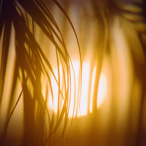 Deep Summer