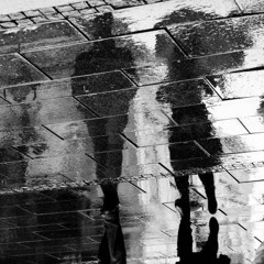 In my mind - Turnstones