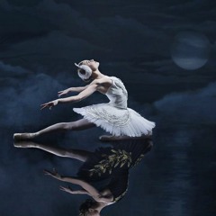 Swan Lake | Tchaikovsky