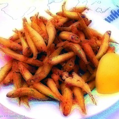 S. Dalek & moltendog - The Spirit Of Gav