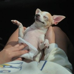 La Lune (Billie Marten cover)