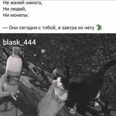 Metro pro пёс