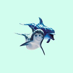 Engelwood - Crystal Dolphin (FFIDDY Trap Edit)