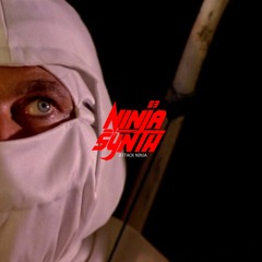 Ninjasynth83  - Attack Ninja (NINJAWAVE)
