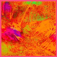 Ravine