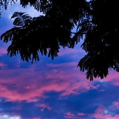 Emotions in Motion (demo)