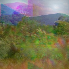 One Synth Challenge #128: OB-Xd from discoDSP