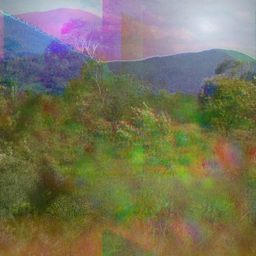 Leonard Bowman - Asking for a Friend
