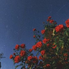 before it's too late (demo)