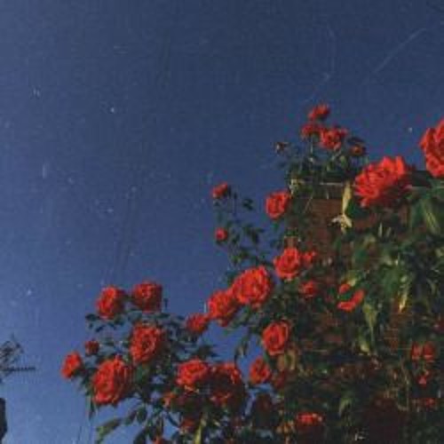 before it's too late (demo)