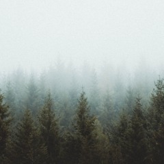 VonnBoyd // Despereaux