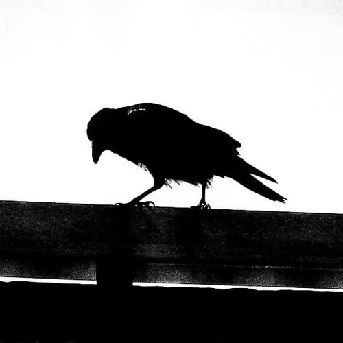 Some trash from abstract backyard