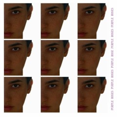 Purple Roses (Acoustic Demo)