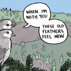 Birdcall