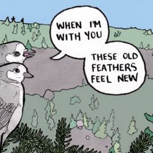 Birdcall