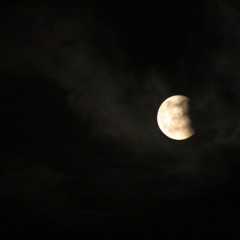 Babylon's Lonely Roar