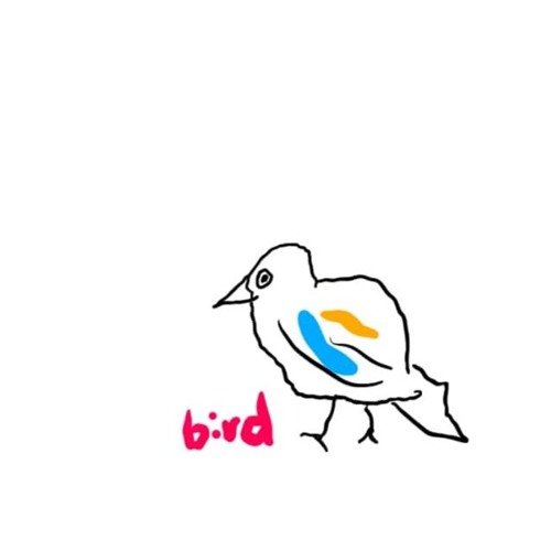 Bird             tokiwa