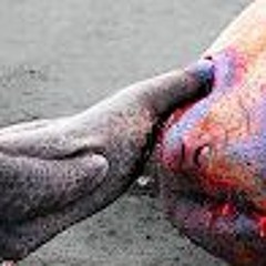 Blood And Chemical