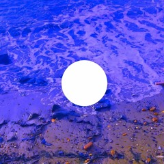 Whale (demo 10/14/19)