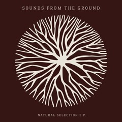 Picture Postcard - Sounds From The Ground