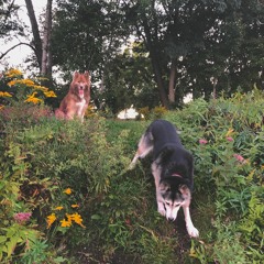 quarter life crisis pt.2