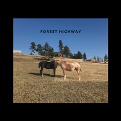 Forest Highway