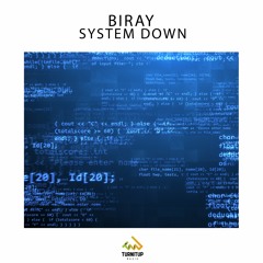 Biray - System Down 👽
