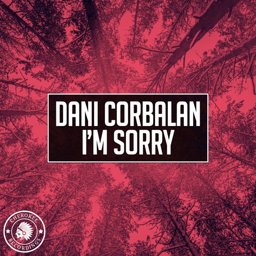 Dani Corbalan - I'm Sorry (Original Mix)