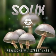 SOLIX - STREET CARS
