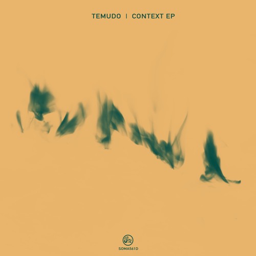 Temudo - Lead You Nowhere (Soma561d)
