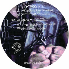 PREMIERE: Arvin Fajar - In The Shadows [Ombra International]
