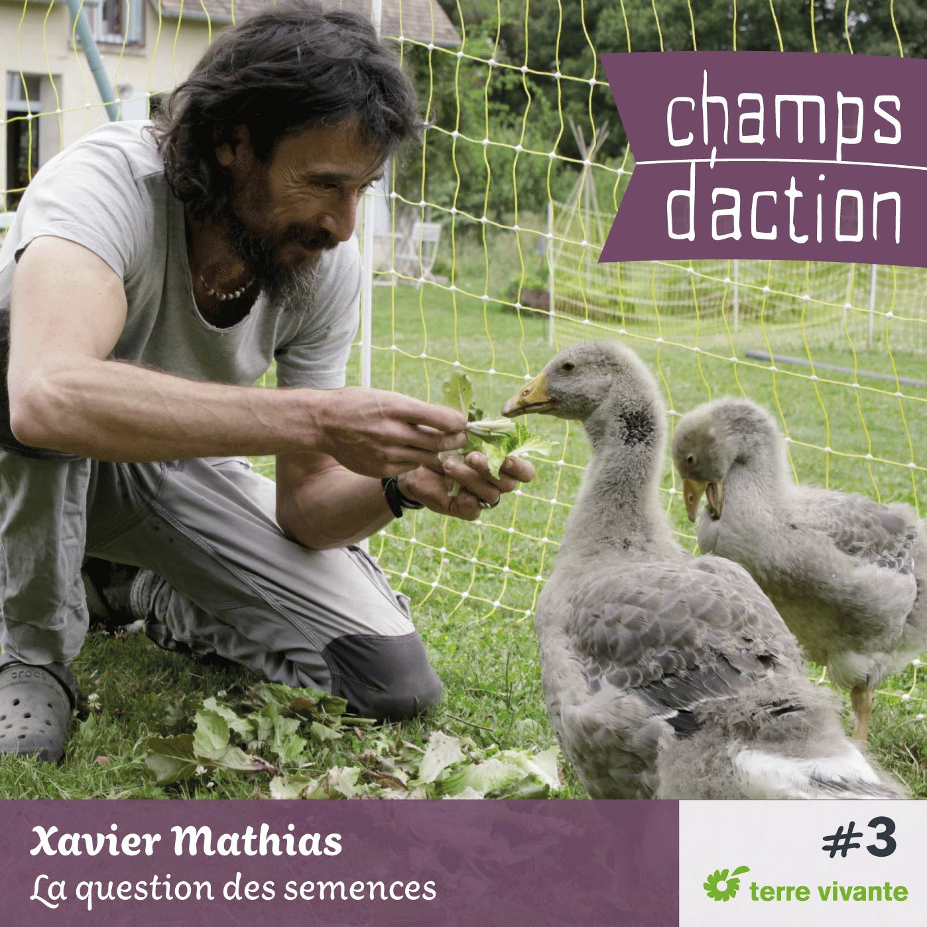 Champs d\'action