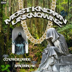 GIMME WHAT I NEED RMX (PROD.SKATENAHMEAN)