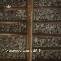 'Hide' 2019