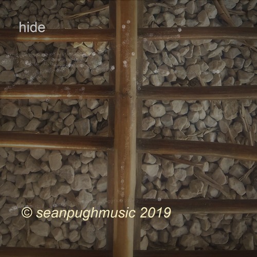 'Hide' 2019