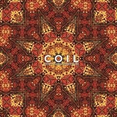 COIL Love's Secret Domain - Original Mix